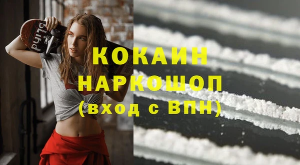 молекула духа Ладушкин