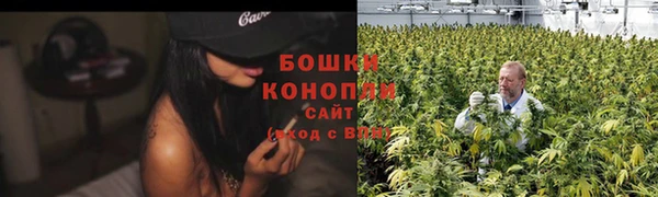 молекула духа Ладушкин