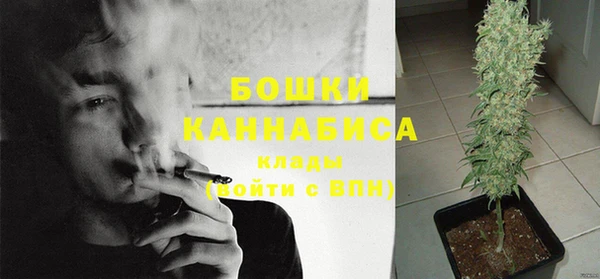 молекула духа Ладушкин
