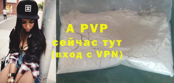 молекула духа Ладушкин