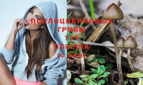 таблы Лабытнанги