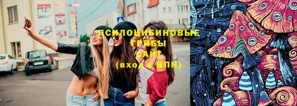 молекула духа Ладушкин