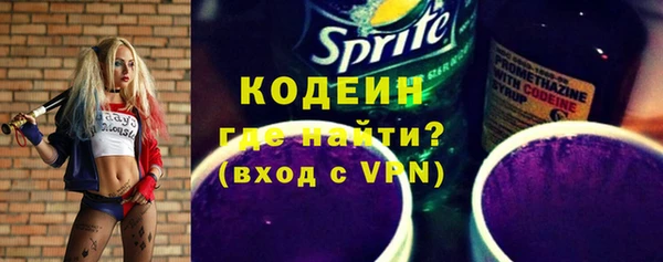 молекула духа Ладушкин